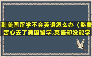 到美国留学不会英语怎么办（煞费苦心去了美国留学,英语却没能学好）