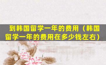 到韩国留学一年的费用（韩国留学一年的费用在多少钱左右）