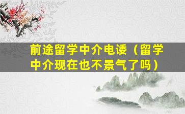 前途留学中介电诿（留学中介现在也不景气了吗）
