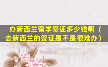 办新西兰留学签证多少钱啊（去新西兰的签证是不是很难办）