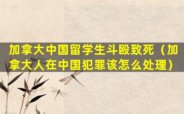 加拿大中国留学生斗殴致死（加拿大人在中国犯罪该怎么处理）