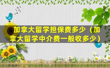 加拿大留学担保费多少（加拿大留学中介费一般收多少）