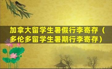 加拿大留学生暑假行李寄存（多伦多留学生暑期行李寄存）