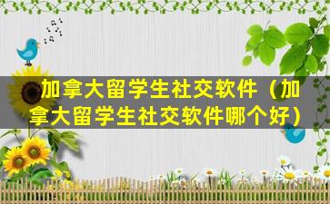 加拿大留学生社交软件（加拿大留学生社交软件哪个好）