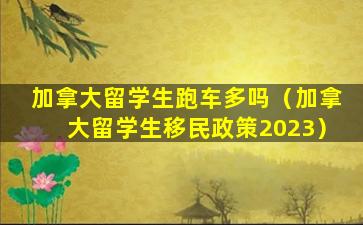 加拿大留学生跑车多吗（加拿大留学生移民政策2023）