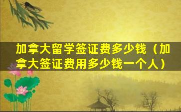 加拿大留学签证费多少钱（加拿大签证费用多少钱一个人）