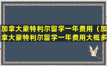 加拿大蒙特利尔留学一年费用（加拿大蒙特利尔留学一年费用大概多少）