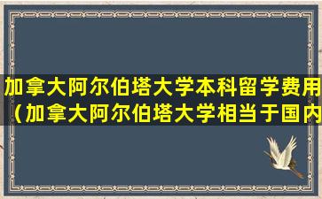 加拿大阿尔伯塔大学本科留学费用（加拿大阿尔伯塔大学相当于国内什么大学）
