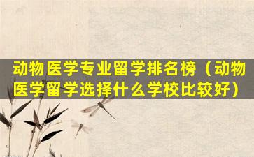 动物医学专业留学排名榜（动物医学留学选择什么学校比较好）