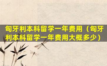 匈牙利本科留学一年费用（匈牙利本科留学一年费用大概多少）