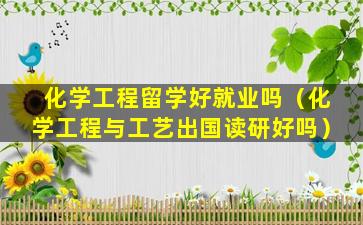 化学工程留学好就业吗（化学工程与工艺出国读研好吗）