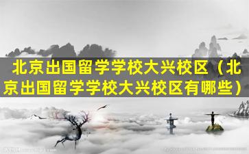 北京出国留学学校大兴校区（北京出国留学学校大兴校区有哪些）