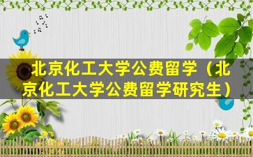 北京化工大学公费留学（北京化工大学公费留学研究生）