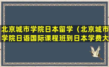 北京城市学院日本留学（北京城市学院日语国际课程班到日本学费大概有多少）