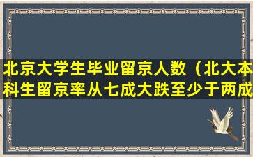 北京大学生毕业留京人数（北大本科生留京率从七成大跌至少于两成）