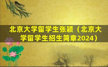 北京大学留学生张颖（北京大学留学生招生简章2024）