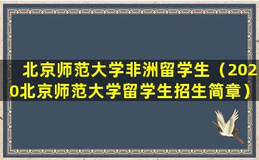 北京师范大学非洲留学生（2020北京师范大学留学生招生简章）