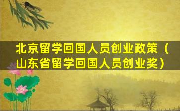 北京留学回国人员创业政策（山东省留学回国人员创业奖）