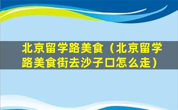 北京留学路美食（北京留学路美食街去沙子口怎么走）