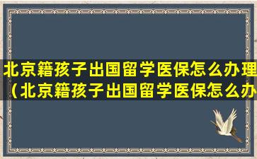 北京籍孩子出国留学医保怎么办理（北京籍孩子出国留学医保怎么办理手续）