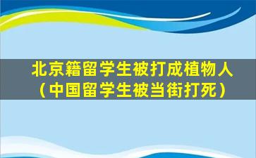 北京籍留学生被打成植物人（中国留学生被当街打死）