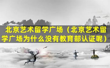 北京艺术留学广场（北京艺术留学广场为什么没有教育部认证呢）
