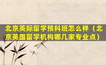 北京英际留学预科班怎么样（北京英国留学机构哪几家专业点）