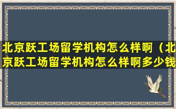 北京跃工场留学机构怎么样啊（北京跃工场留学机构怎么样啊多少钱）