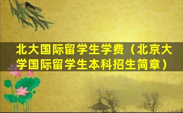 北大国际留学生学费（北京大学国际留学生本科招生简章）