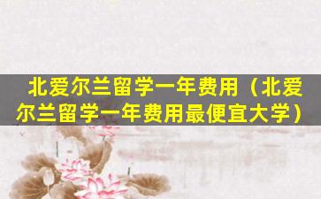 北爱尔兰留学一年费用（北爱尔兰留学一年费用最便宜大学）