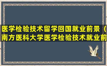 医学检验技术留学回国就业前景（南方医科大学医学检验技术就业前景）