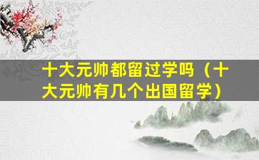 十大元帅都留过学吗（十大元帅有几个出国留学）