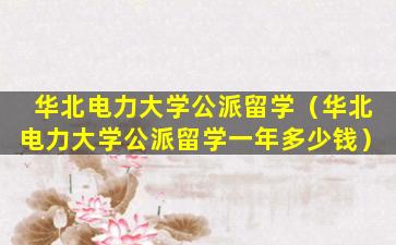 华北电力大学公派留学（华北电力大学公派留学一年多少钱）