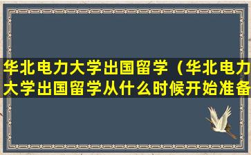 华北电力大学出国留学（华北电力大学出国留学从什么时候开始准备）