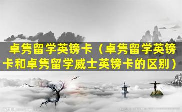 卓隽留学英镑卡（卓隽留学英镑卡和卓隽留学威士英镑卡的区别）