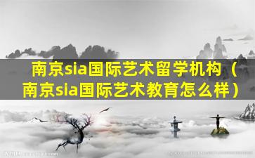 南京sia国际艺术留学机构（南京sia国际艺术教育怎么样）