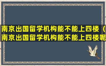 南京出国留学机构能不能上四楼（南京出国留学机构能不能上四楼呢）