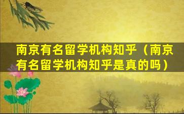 南京有名留学机构知乎（南京有名留学机构知乎是真的吗）