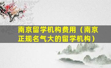 南京留学机构费用（南京正规名气大的留学机构）