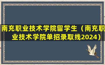南充职业技术学院留学生（南充职业技术学院单招录取线2024）