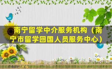 南宁留学中介服务机构（南宁市留学回国人员服务中心）