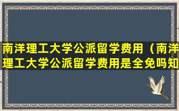 南洋理工大学公派留学费用（南洋理工大学公派留学费用是全免吗知乎）