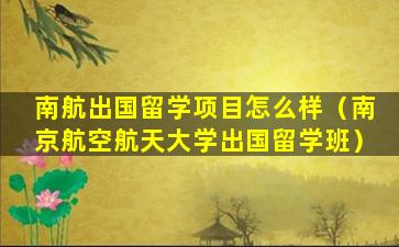 南航出国留学项目怎么样（南京航空航天大学出国留学班）