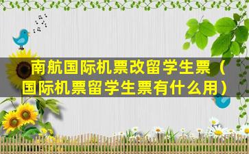 南航国际机票改留学生票（国际机票留学生票有什么用）