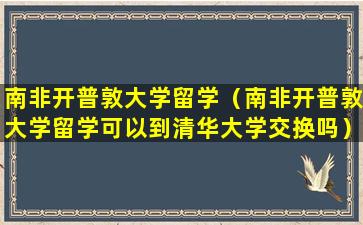 南非开普敦大学留学（南非开普敦大学留学可以到清华大学交换吗）