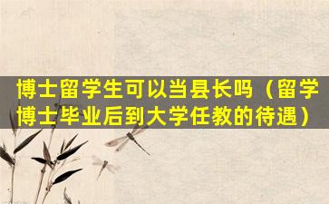 博士留学生可以当县长吗（留学博士毕业后到大学任教的待遇）