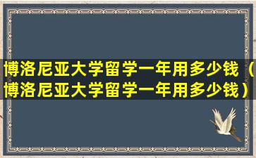 博洛尼亚大学留学一年用多少钱（博洛尼亚大学留学一年用多少钱）