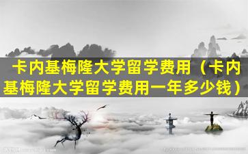卡内基梅隆大学留学费用（卡内基梅隆大学留学费用一年多少钱）
