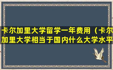 卡尔加里大学留学一年费用（卡尔加里大学相当于国内什么大学水平）
