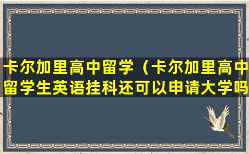 卡尔加里高中留学（卡尔加里高中留学生英语挂科还可以申请大学吗）
